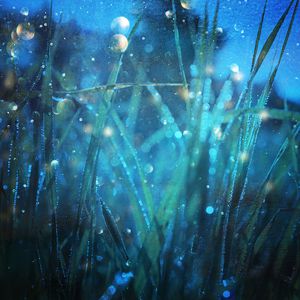 欧美成人精品三区综合A片
